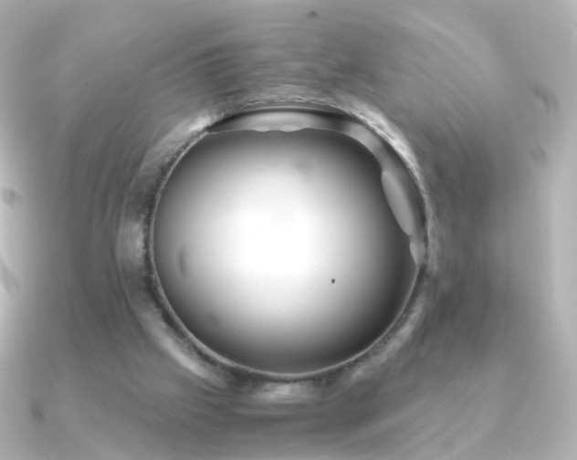 X0000091240057200708091442