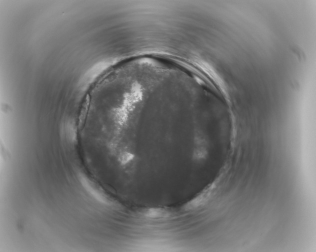 X0000091240060200708091443