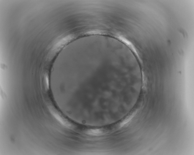 X0000091240061200708091443