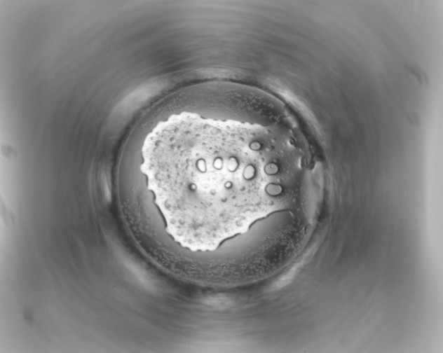 X0000091240062200708091443