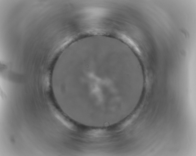X0000091240065200708091443