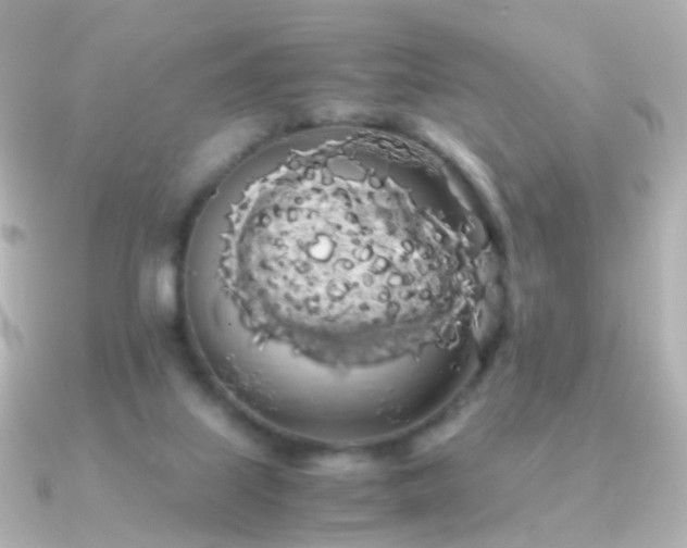 X0000091240067200708091443