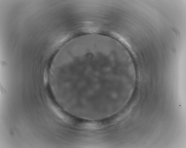 X0000091240069200708091443
