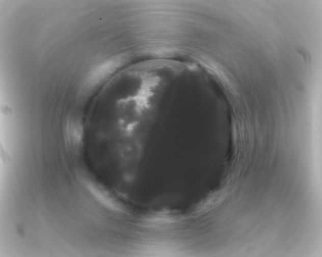 X0000091240072200708091443