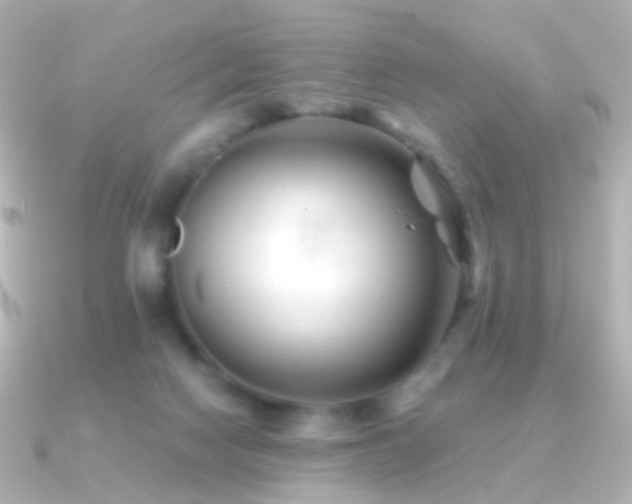 X0000091240074200708091443