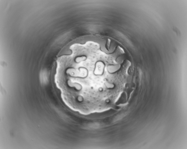 X0000091240075200708091443