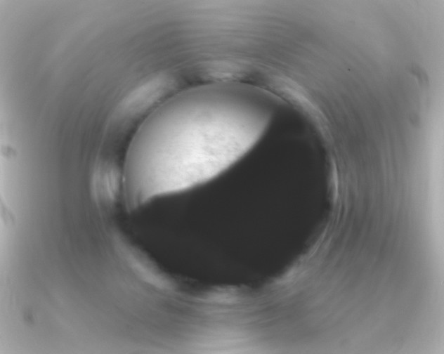 X0000091240076200708091443