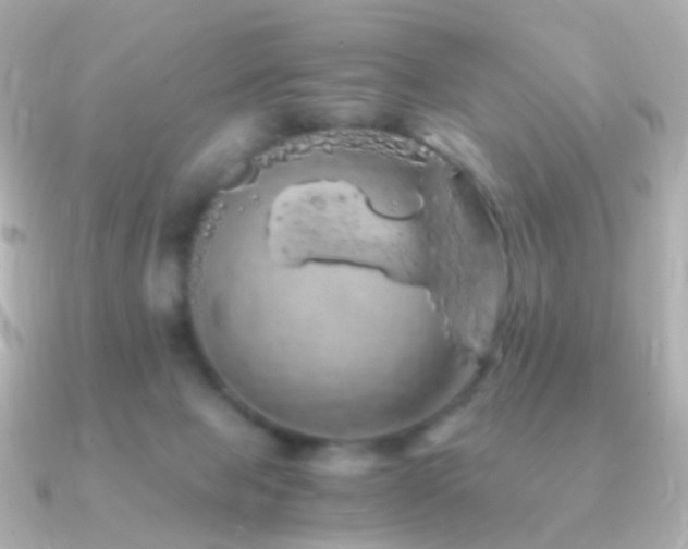 X0000091240077200708091443