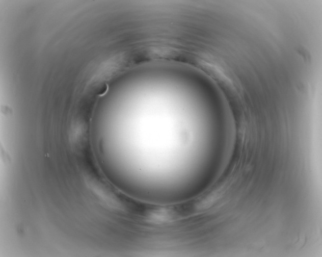 X0000091240079200708091443