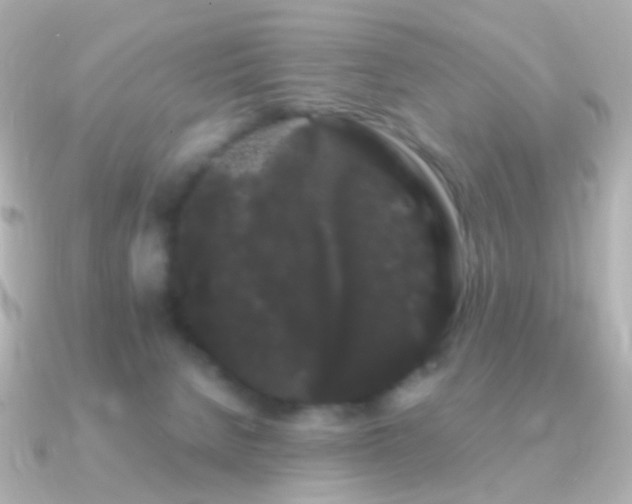 X0000091240080200708091443