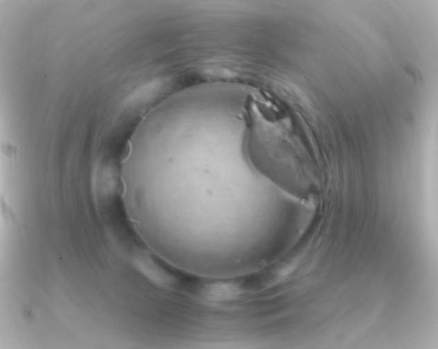 X0000091240081200708091443