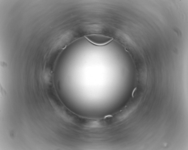 X0000091240083200708091443