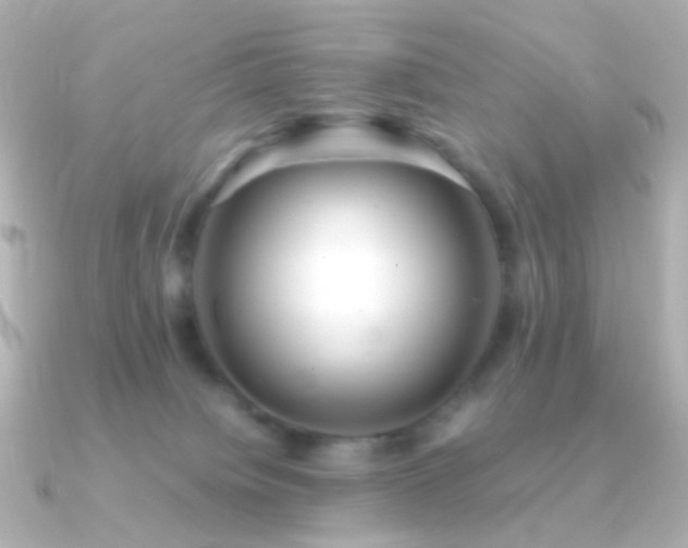 X0000091240084200708091443
