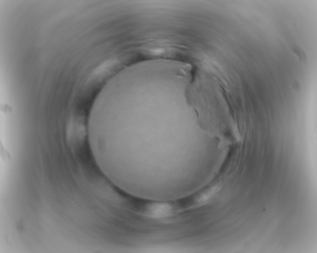 X0000091240085200708091443