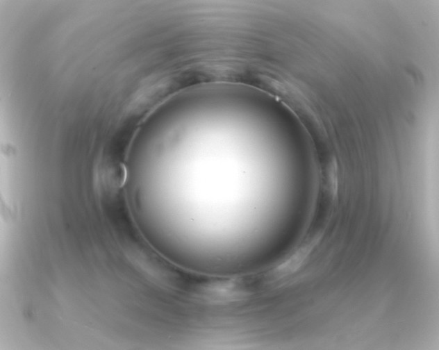 X0000091240086200708091443