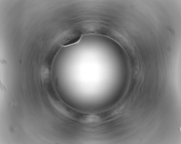 X0000091240087200708091443