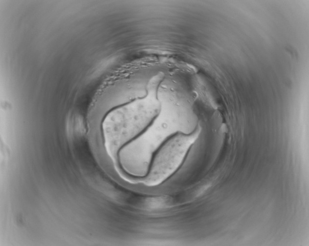 X0000091240089200708091443