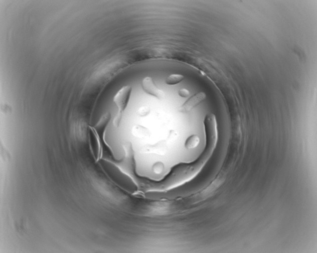 X0000091240090200708091443