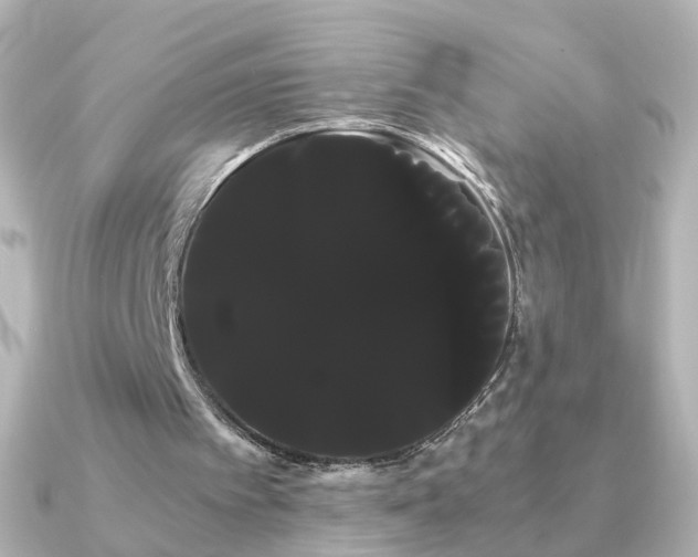 X0000091240097200708091442