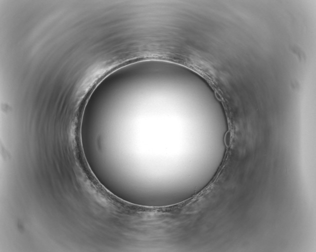 X0000091240098200708091442