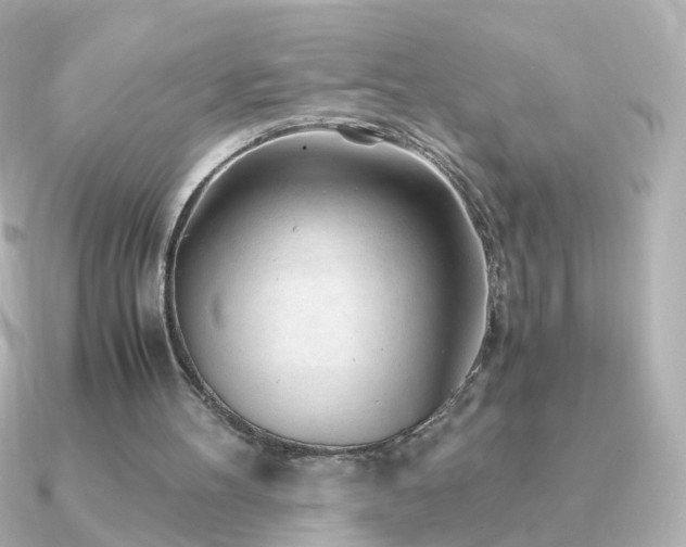 X0000091240100200708091442