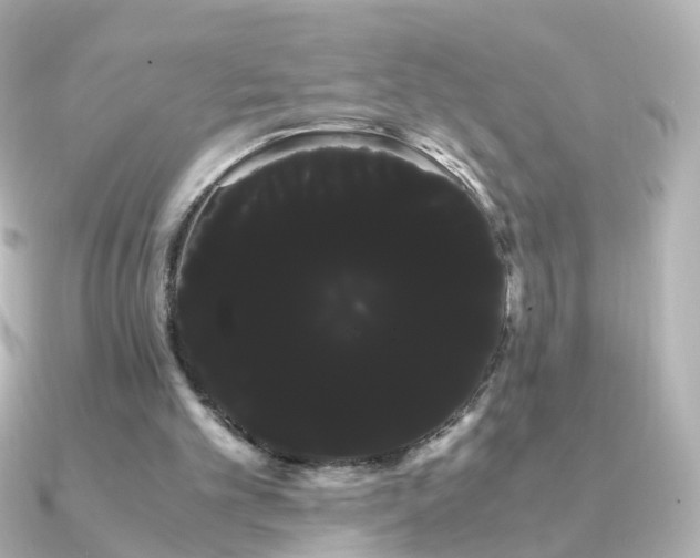 X0000091240101200708091442