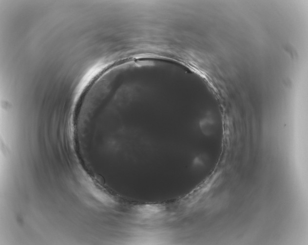 X0000091240102200708091442