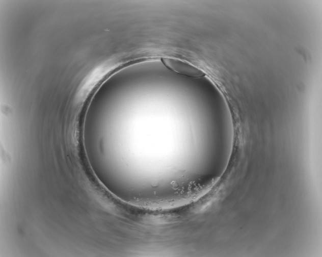 X0000091240103200708091442