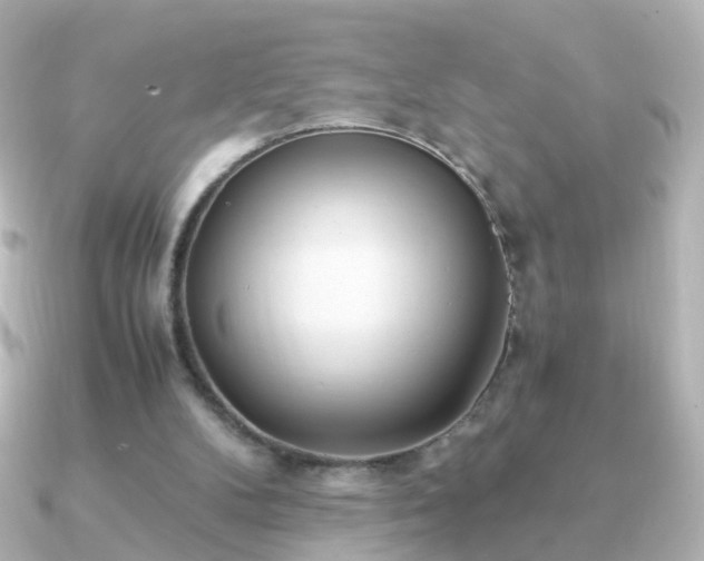 X0000091240104200708091442