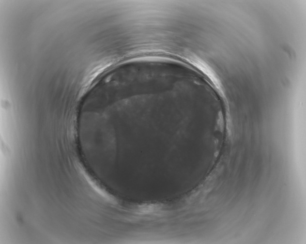 X0000091240105200708091442