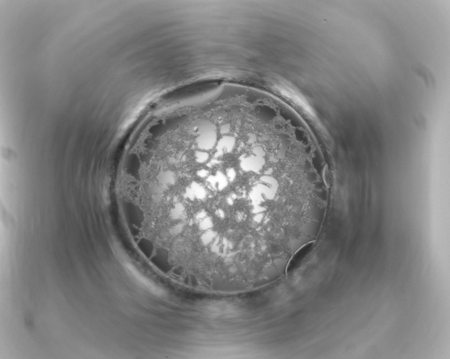 X0000091240106200708091442