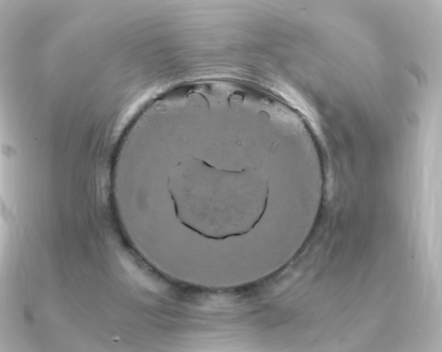 X0000091240107200708091442
