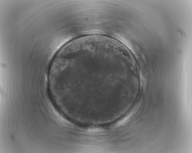 X0000091240109200708091442
