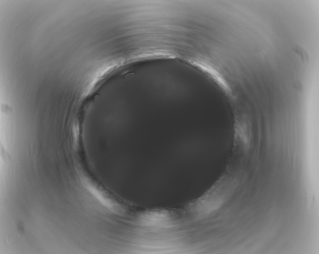X0000091240110200708091442