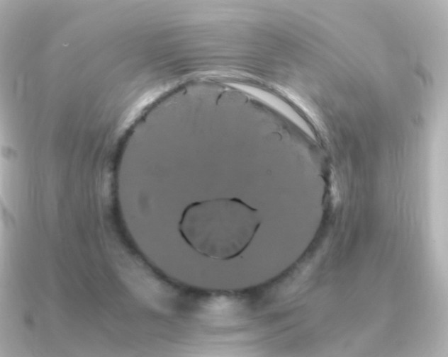 X0000091240111200708091442