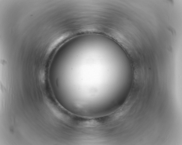X0000091240112200708091442