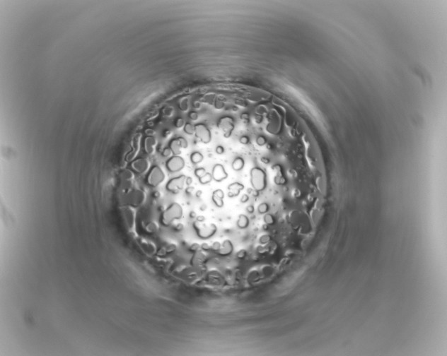 X0000091240113200708091442