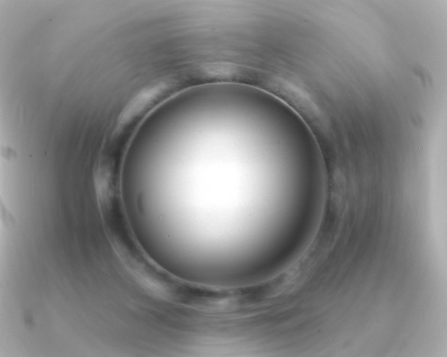 X0000091240116200708091442