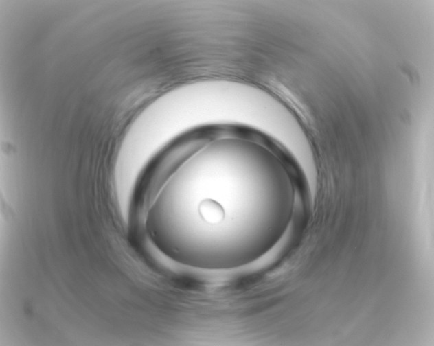 X0000091240117200708091442