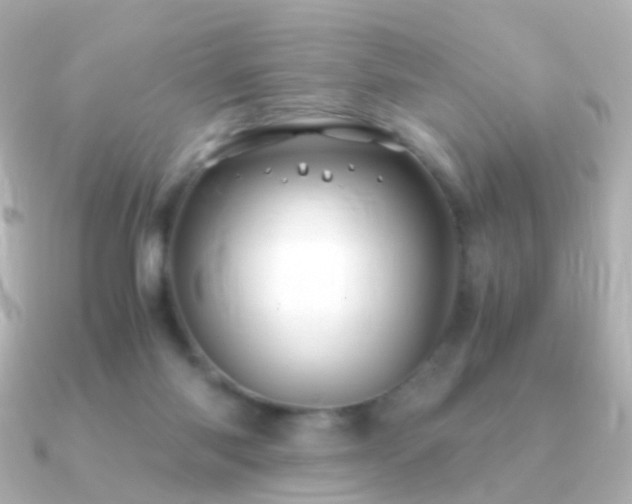 X0000091240118200708091442
