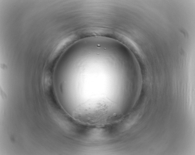 X0000091240119200708091442