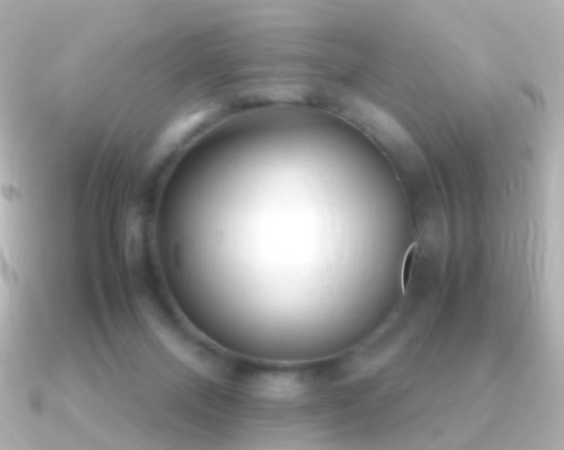 X0000091240120200708091442