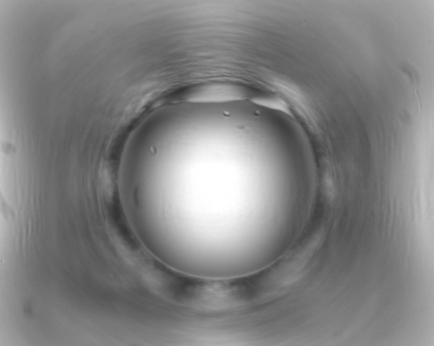 X0000091240121200708091442