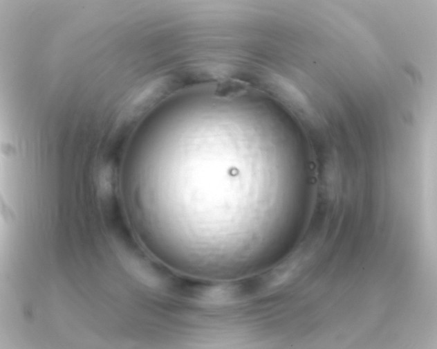 X0000091240122200708091442