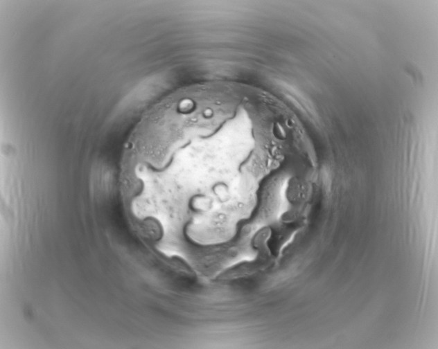 X0000091240123200708091442