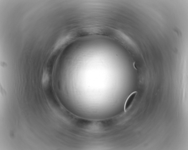 X0000091240124200708091442