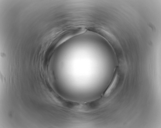 X0000091240125200708091442