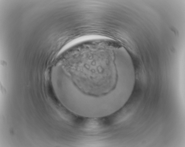 X0000091240127200708091442