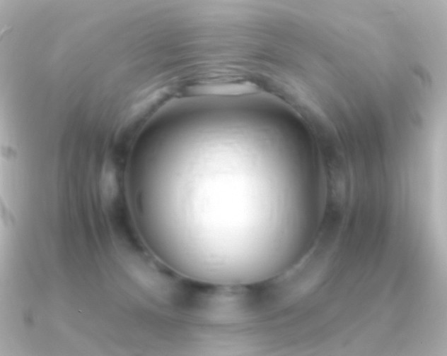 X0000091240128200708091442