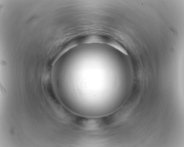 X0000091240129200708091442